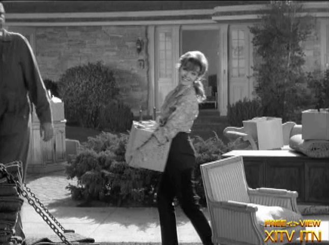 XITV FREE <> VIEW� Bewitched! Starring Elizabeth Montgomery and Kipp Hamilton!