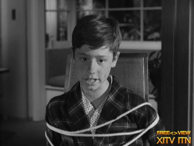  XITV FREE <> VIEW Bewitched! Starring Elizabeth Montgomery and Craig Hundley! XITV Is Must See TV! 