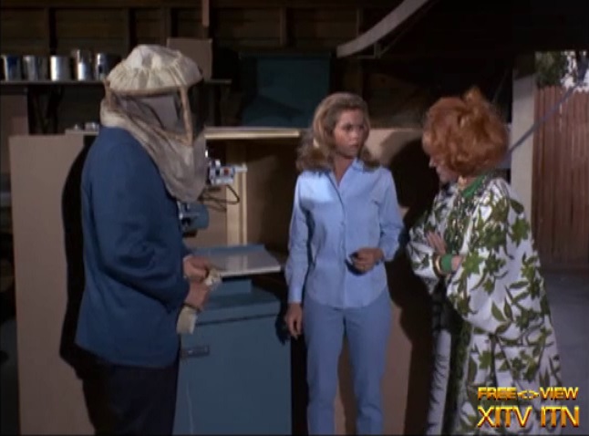 XITV FREE <> VIEW Bewitched! Starring Elizabeth Montgomery, and Erin Murphy!